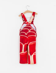 Kids Printed Overalls