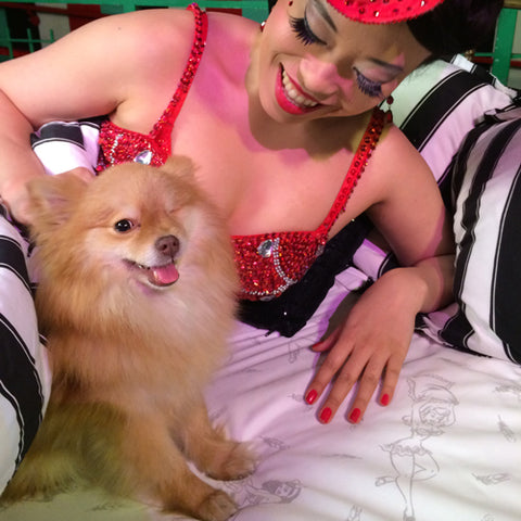 Showgirl in bed with one-eyed pomeranian
