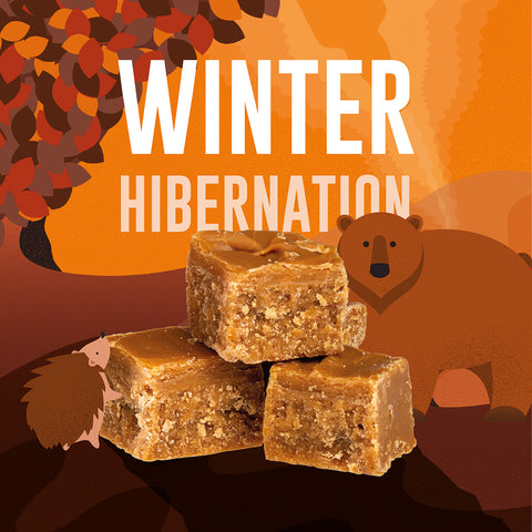 Winter Hibernation featuring a hedgehog and bear near pieces of fudge with an Autumn background