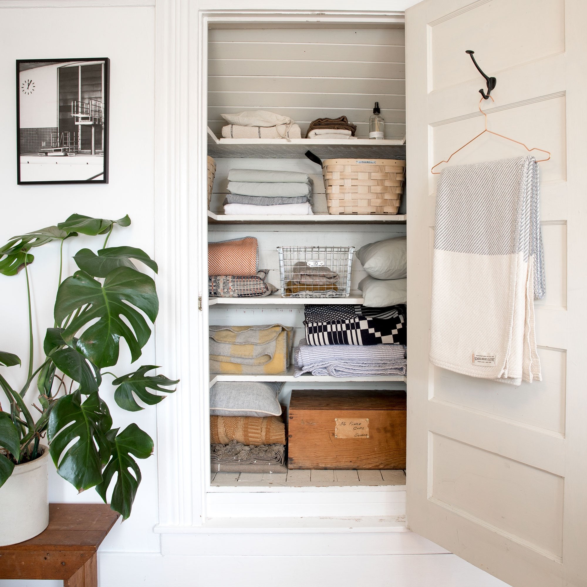 linen closet and plant