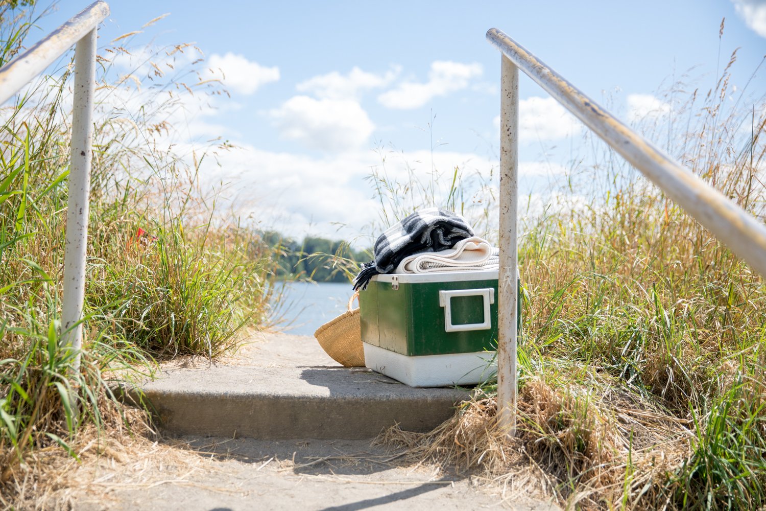 green cooler on a dock surrounded by plants