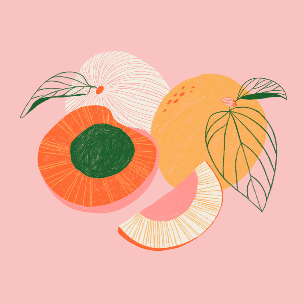 illustration of fruits