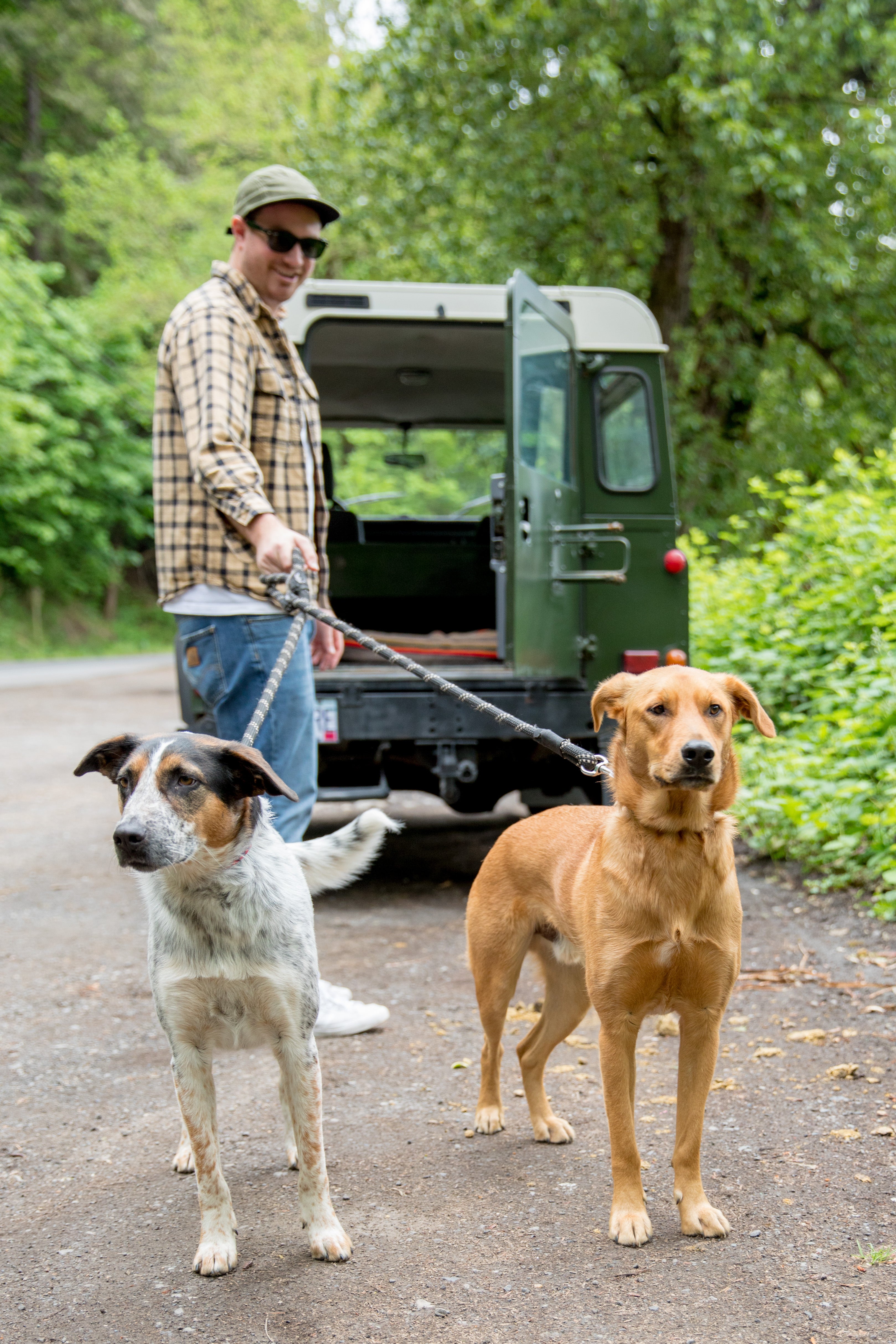 man walking two dogs