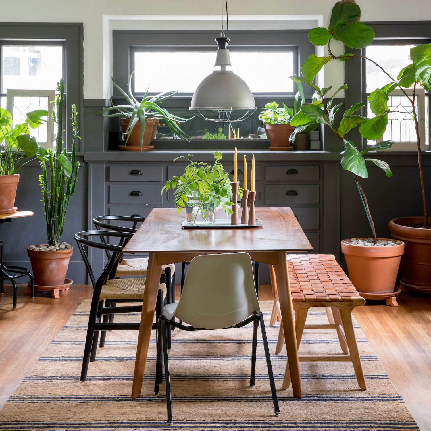 table and chairs in a room and plants