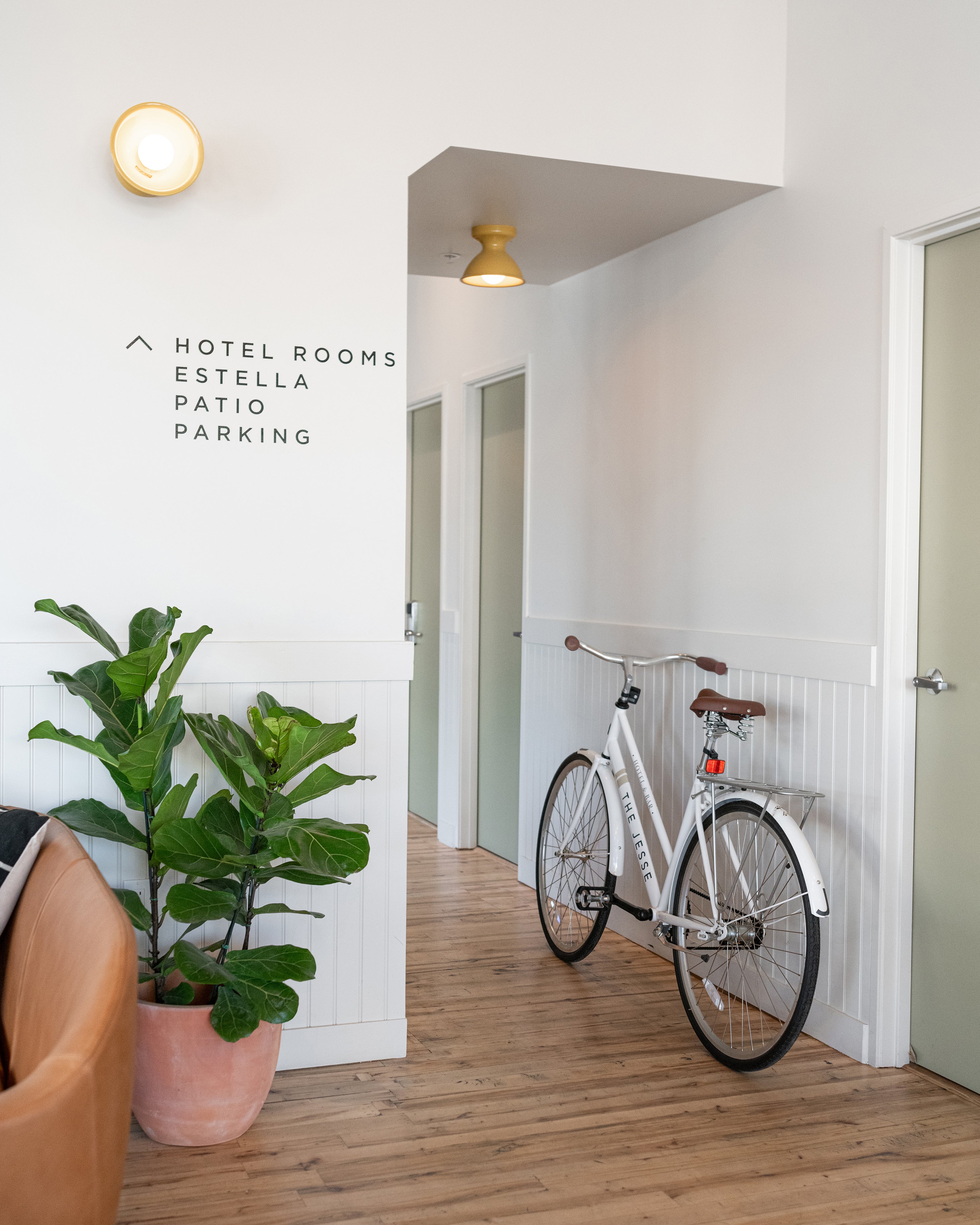 bicycle in a room and a potted plant