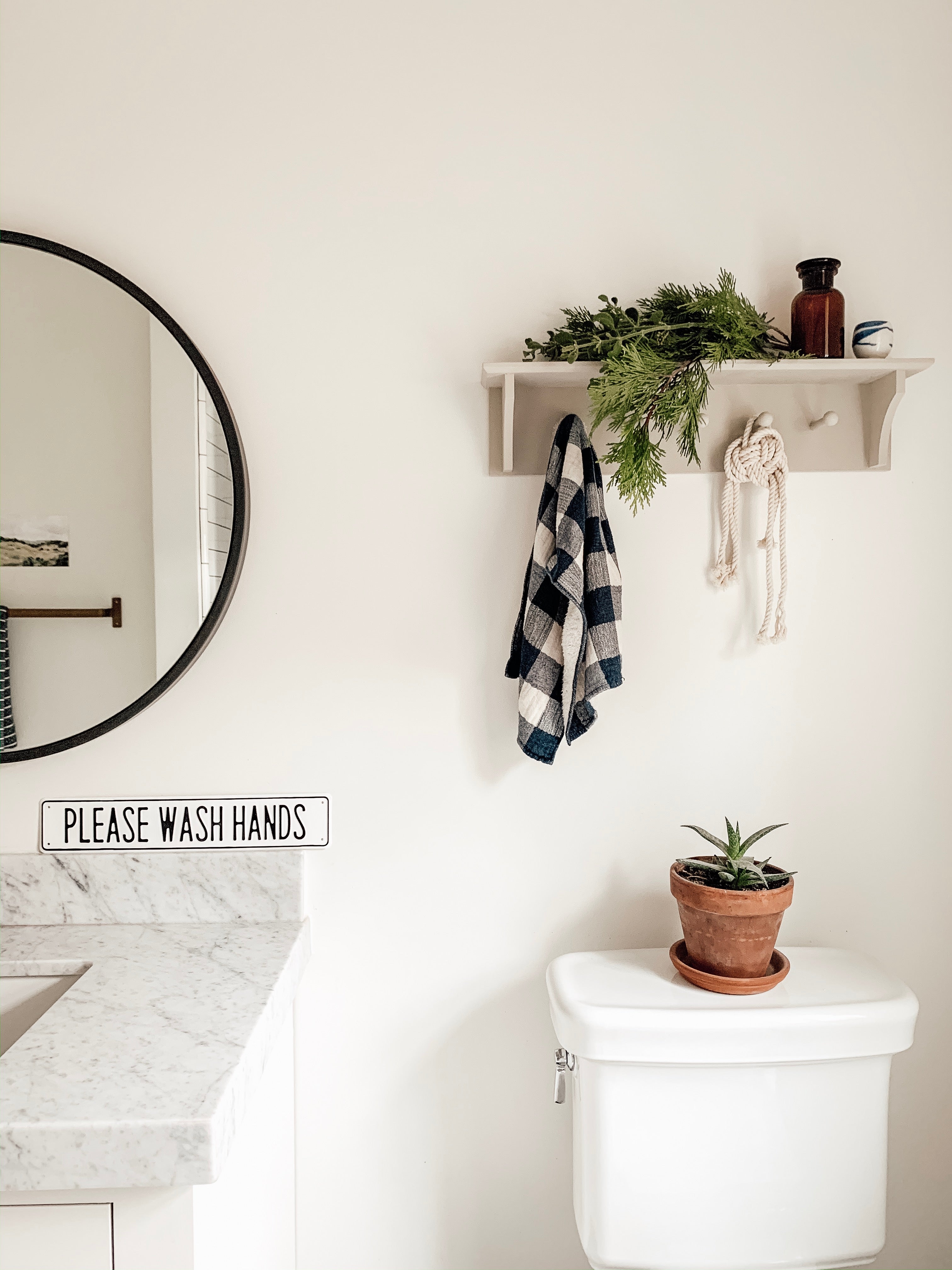bathroom with a mirror and plants