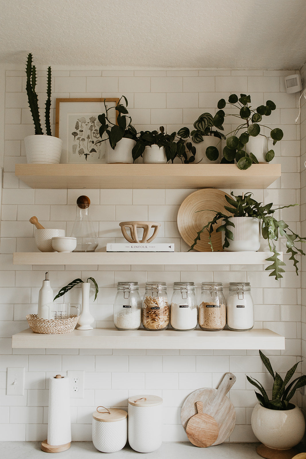 shelf with white vases and plants on it