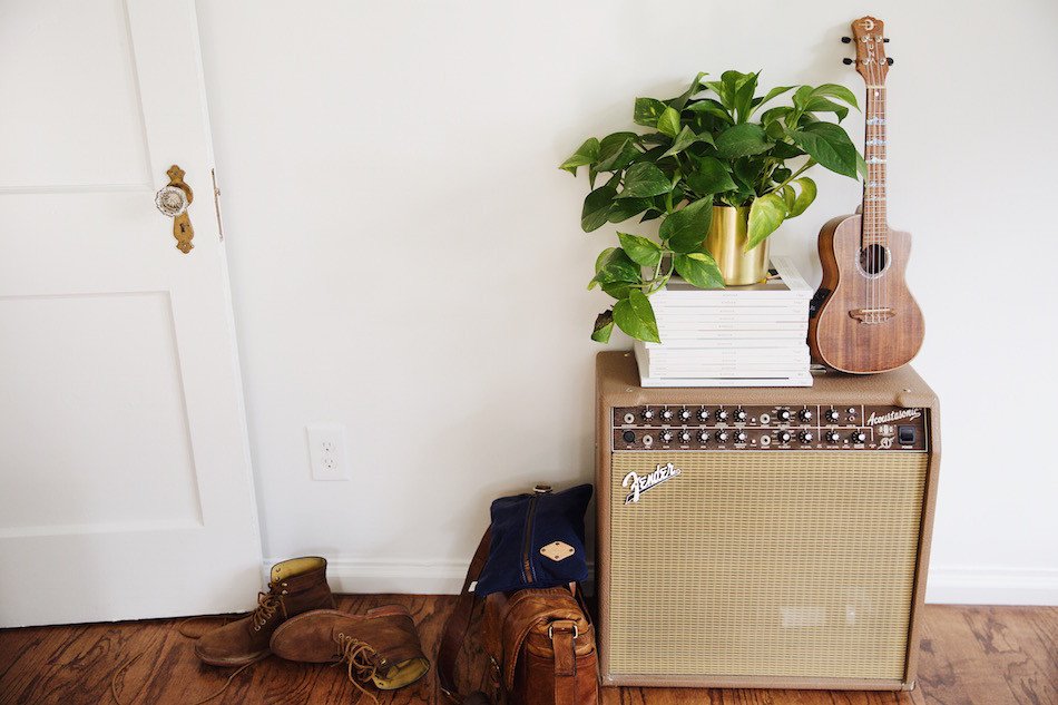 amp and a ukulele and a plant