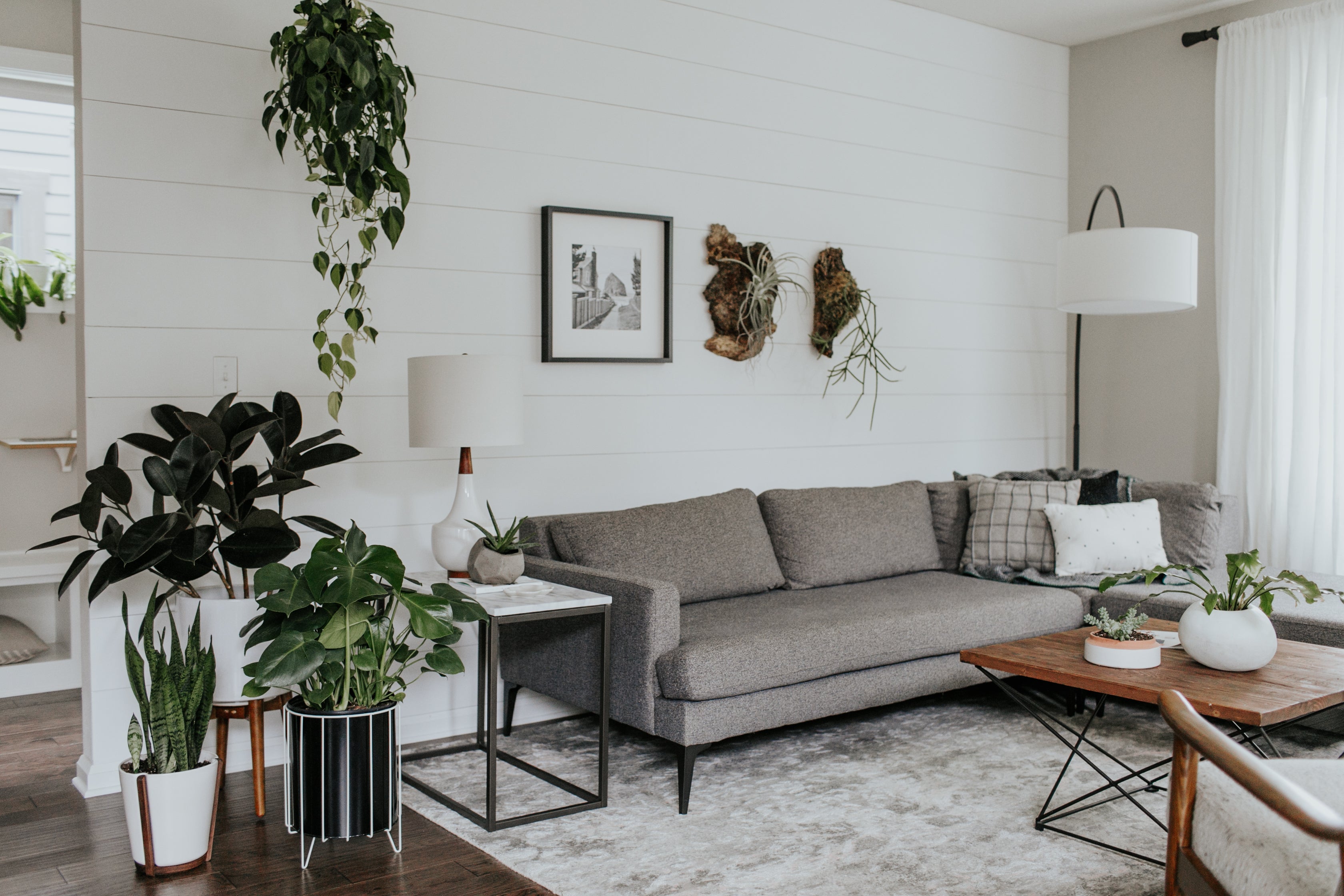 living room with a couch and coffee table and plants