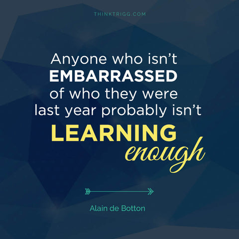 Alain de Botton Quote Learning