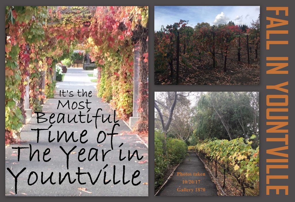 Fall in Yountville