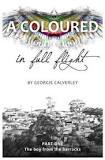 A Coloured in Full Flight, by Georgie Calverley
