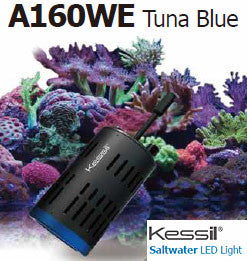 kessil a160we tuna blue