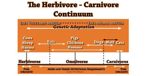 herbivore-carvivore continuum