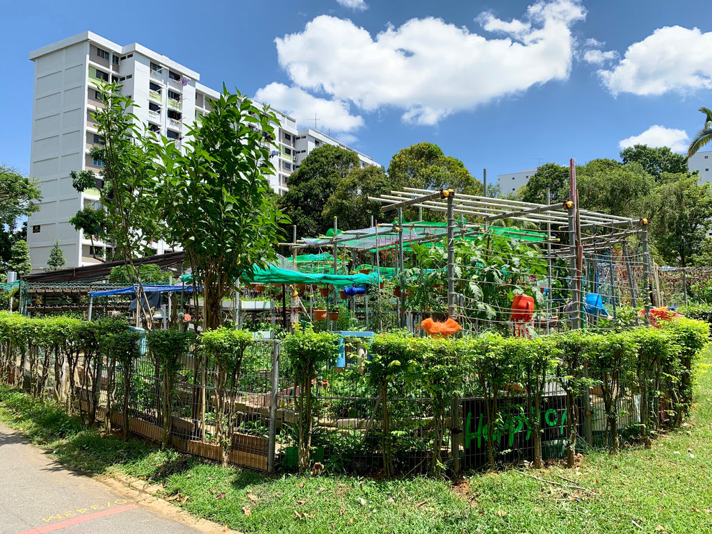 HDB Community Garden | Teban Gardens Neighbourhood Park