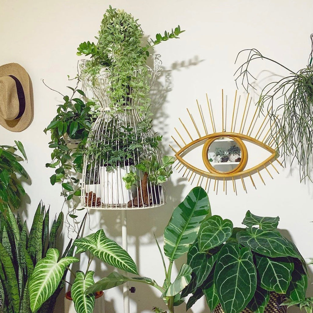 Plants make people happy | Styling your HDB Singapore 