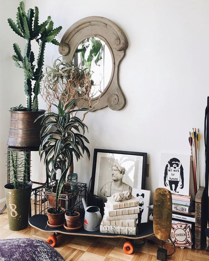 Plants make people happy | Styling your home with plants 