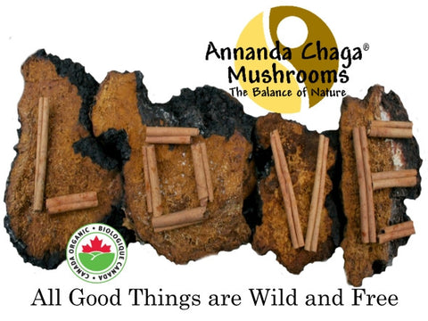 Annanda Chaga Love