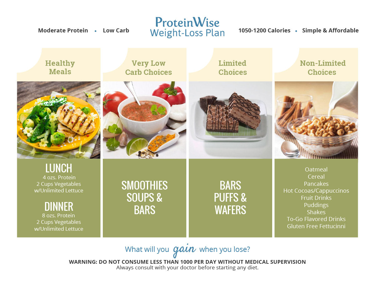 Proteinwise weight loss plan