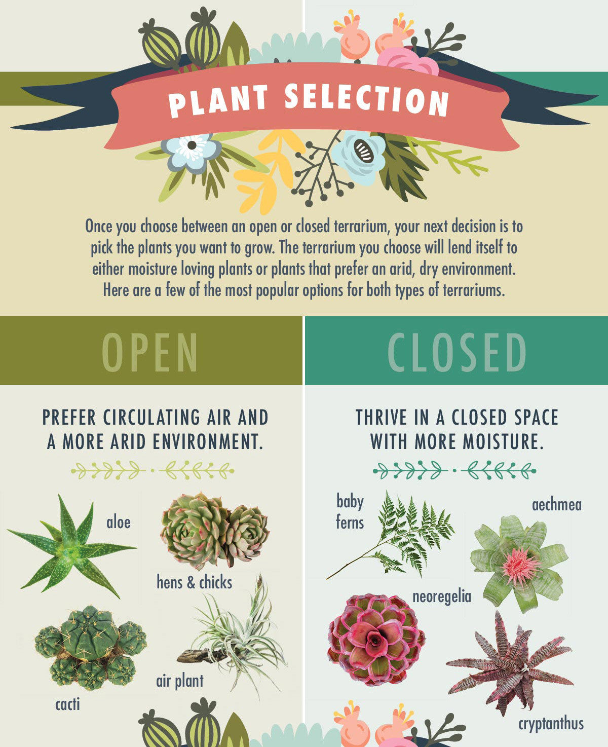 Choosing Your Plants