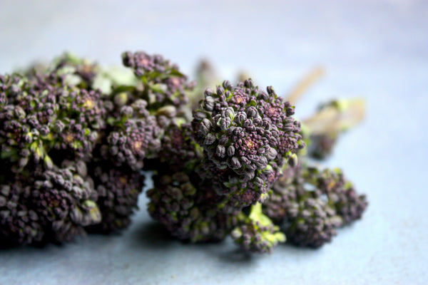 purple food trend broccoli styling photography stylist recipe developer nottingham manchester london