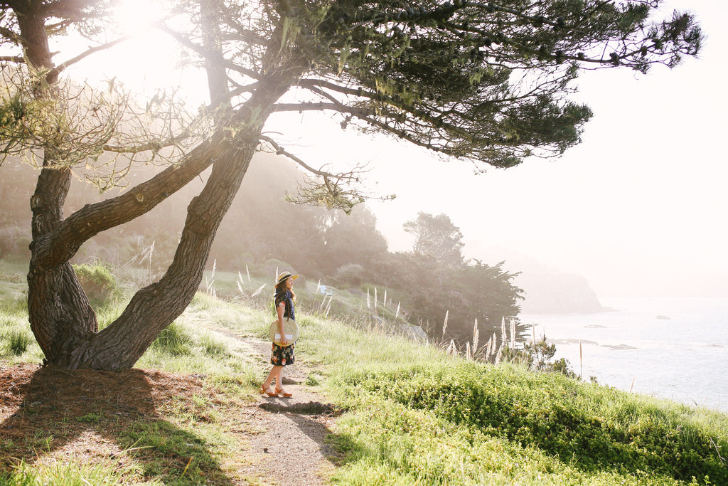 Sonoma Coast California - Mandi Nelson Photography - Promptly Journals 