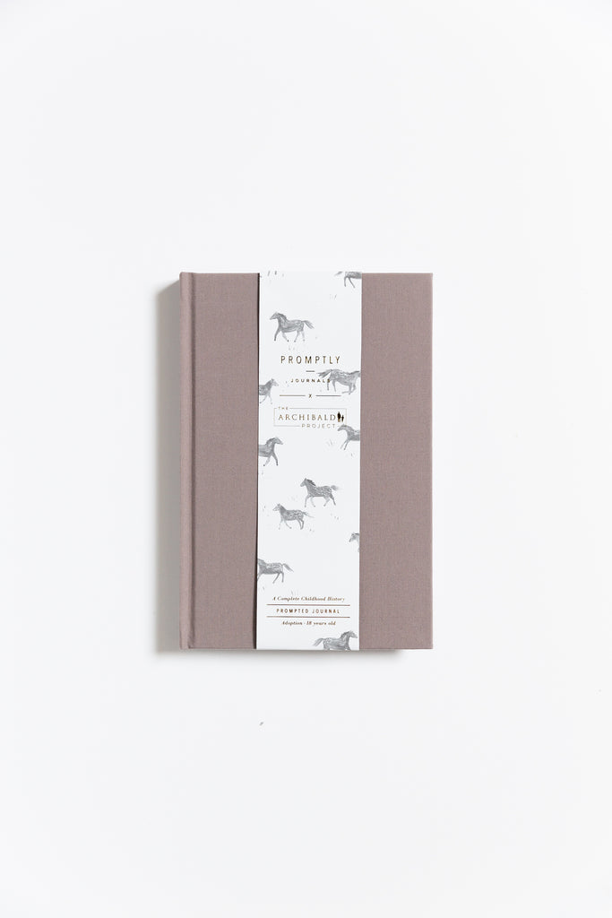 Promptly Journals x The Archibald Project Adoption Journal in Grey 