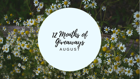 12 months of giveaways - august