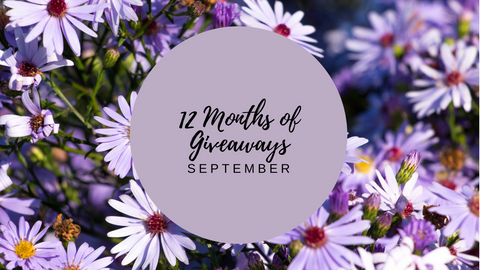 12 months of giveaways - september