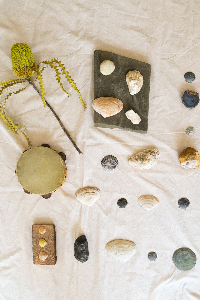 Shells Stone Rocks Crystals Beach Things