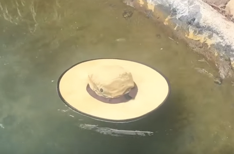 Cruz Sun Hat Water Floting Hat