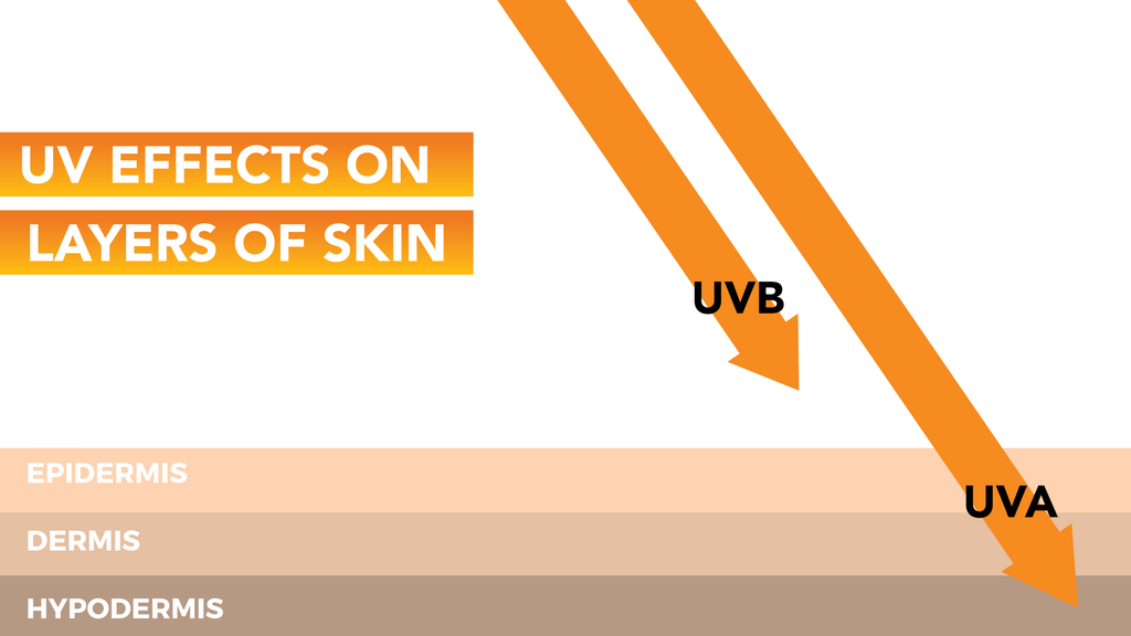 UVA UVB Skin Effect Infographic