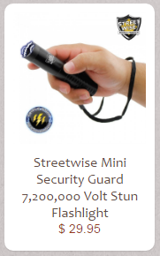 Security Flashlight Stun Gun