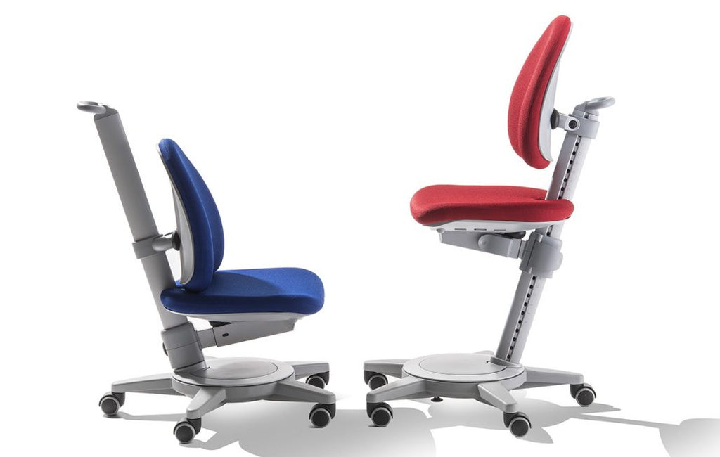Maximo ergonomic kids chair desk