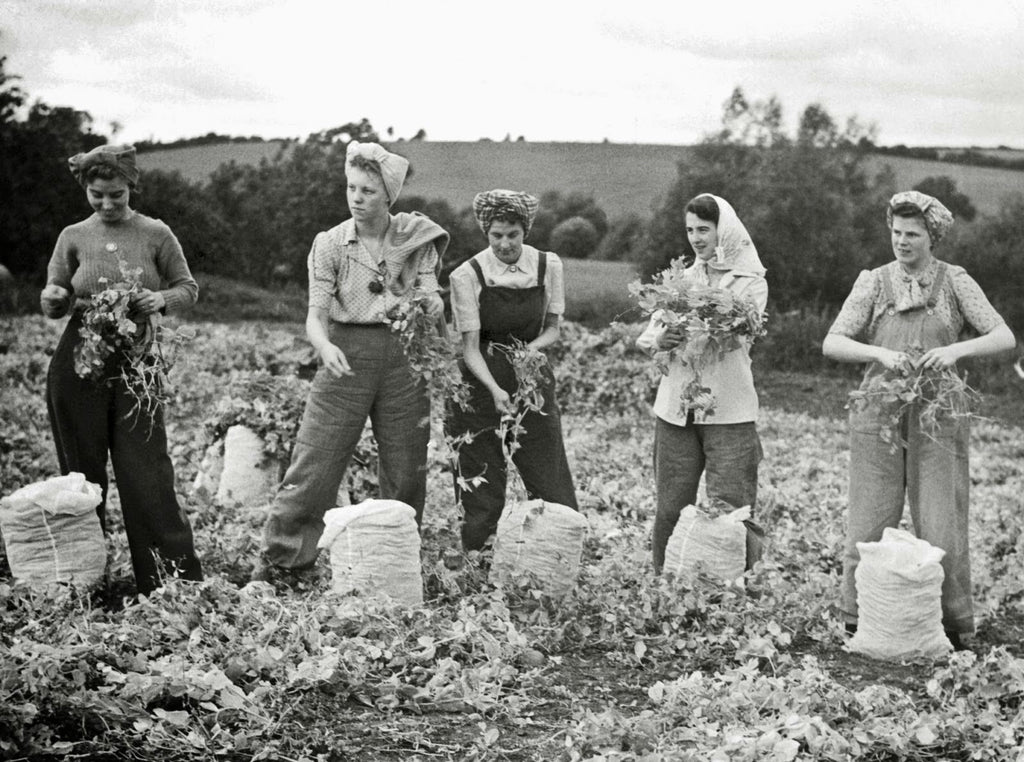 Land Girls WWII vintage photo workwear overalls