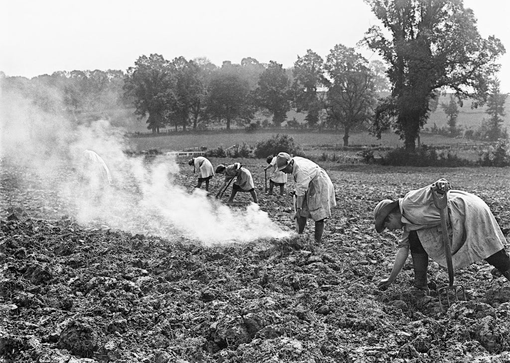 Land girls vintage photo workwear WWII blluemade