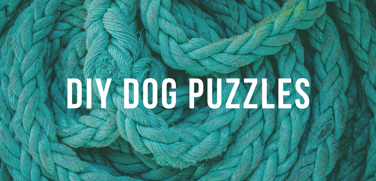 diy dog puzzle toy