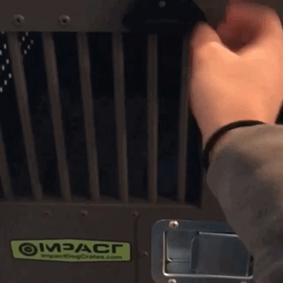 gif opening butterfly latches high anxiety dog crate