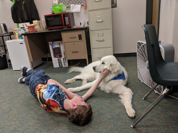 therapy dog chief relaxing with student