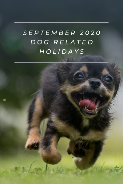 september 2020 dog related holidays