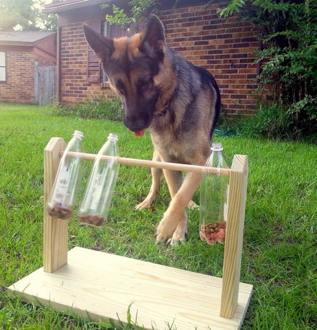 bottle spinning puzzle for dogs