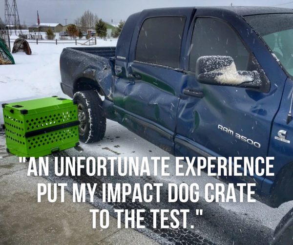 an unfortunate experience put my impact dog crate to the test blog