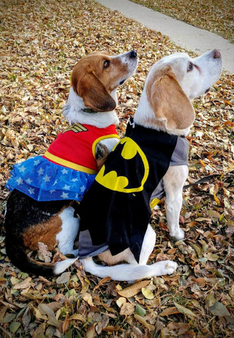 beagles in halloween costumes