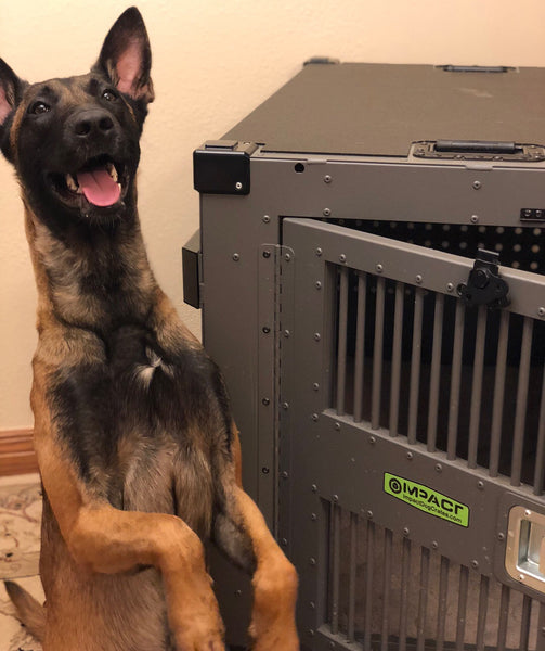 best crate for belgian malinois dog