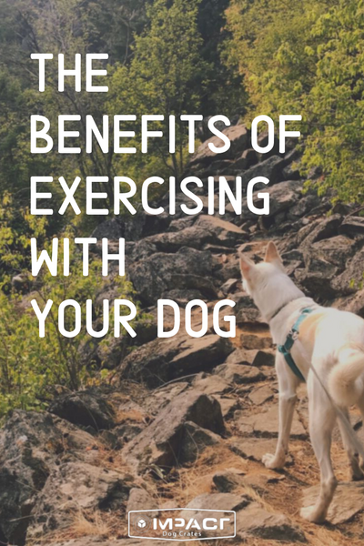 the benefits of exercising with your dog pinterest
