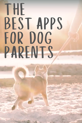 the best apps for dog parents