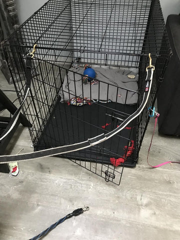 wire dog crate damaged