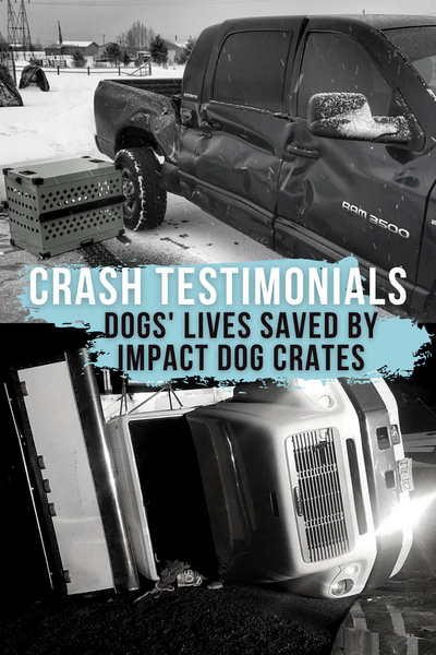 crash testimonials dogs lives saved by impact dog crates