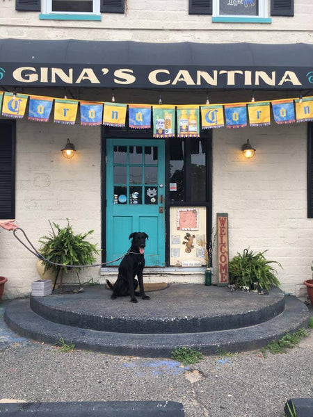 dog friendly spot at gina's cantina