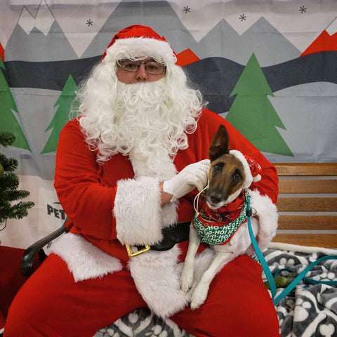 dog meets santa
